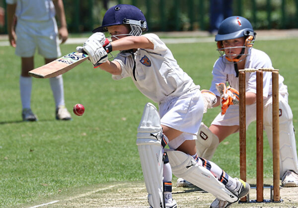 LIFE IS AN ELABORATE METAPHOR FOR CRICKET.
