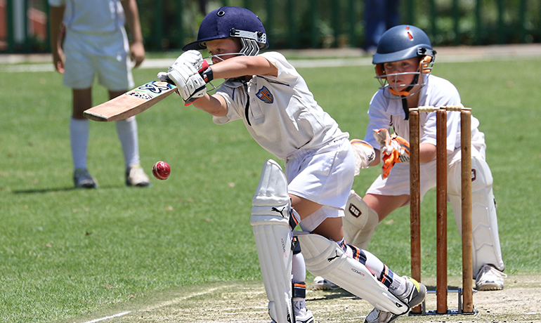LIFE IS AN ELABORATE METAPHOR FOR CRICKET.